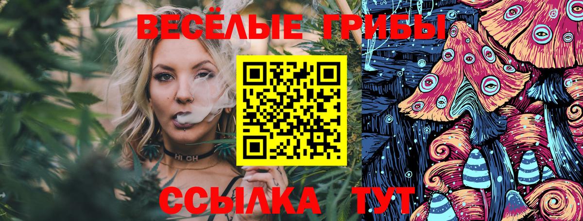 Псилоцибиновые грибы мухоморы  Вход с VPN  Вятские Поляны  Псилоцибиновые грибы GOLDEN TEACHER 