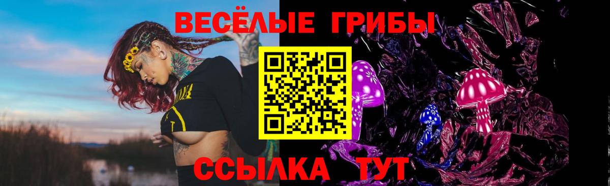 Галлюциногенные грибы мицелий Вятские Поляны